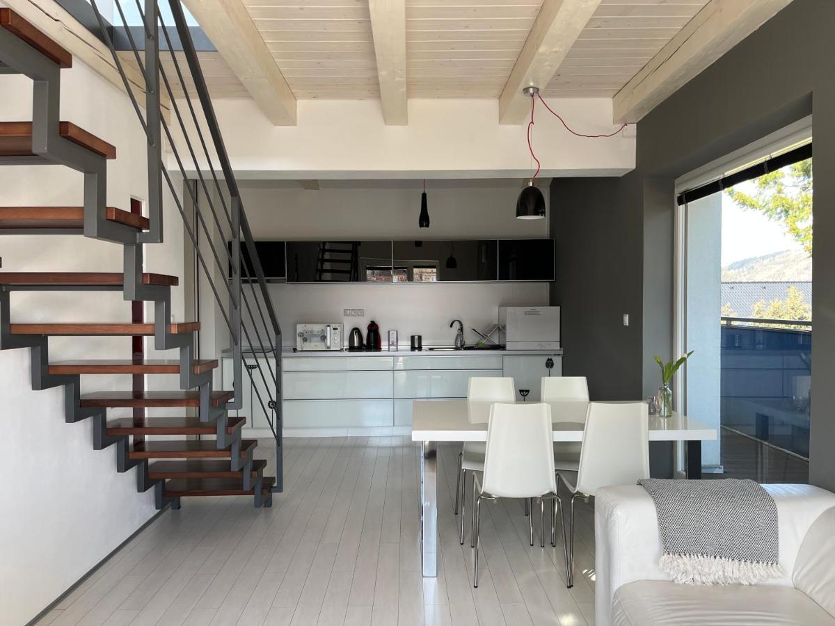Modry Dom Apartment Spisske Bystre Exterior photo