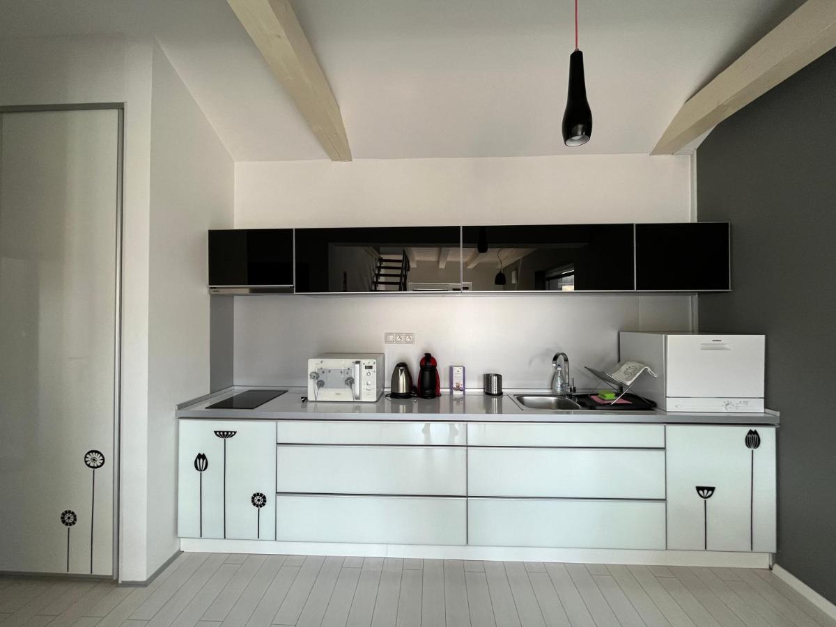 Modry Dom Apartment Spisske Bystre Exterior photo