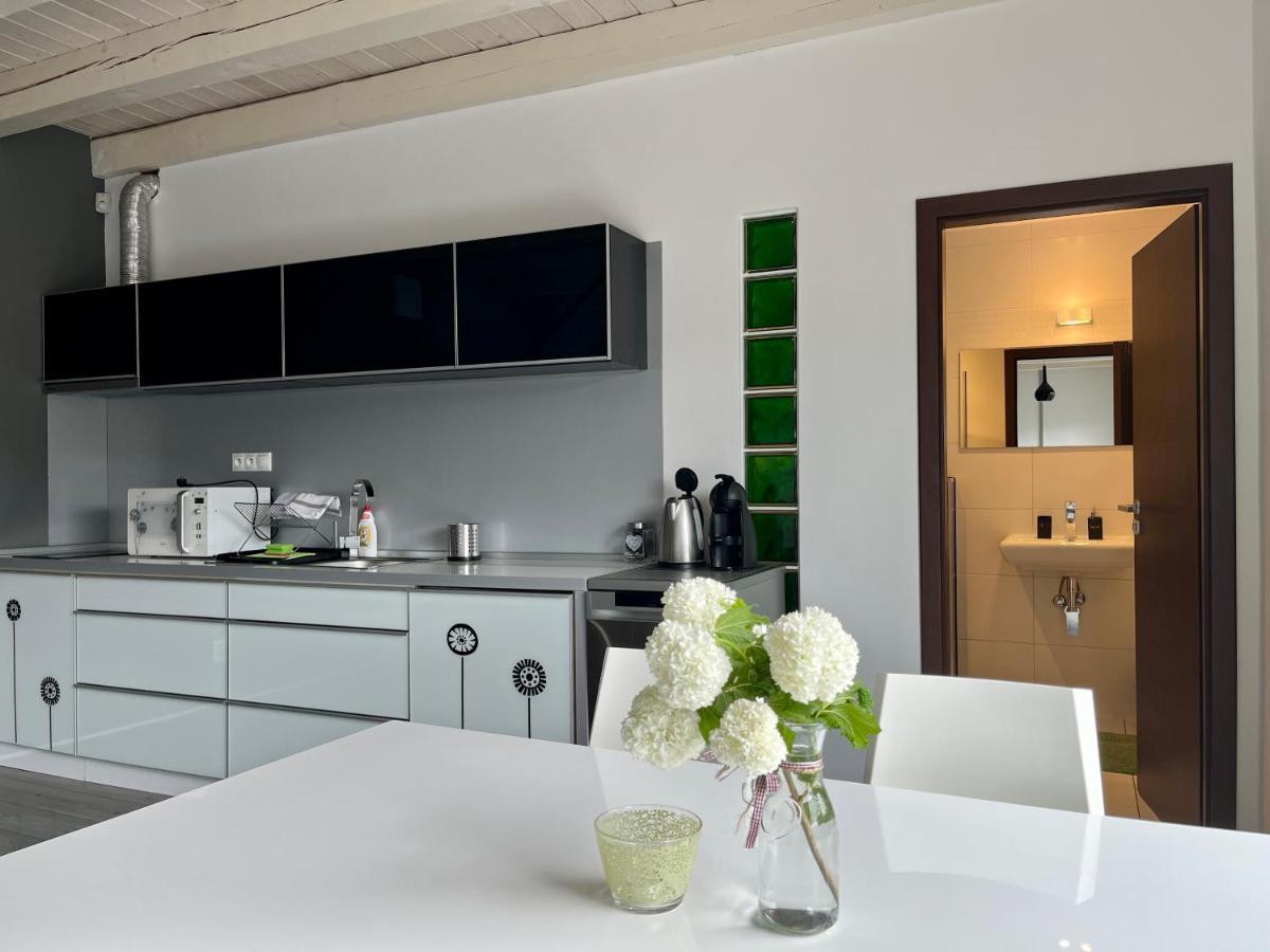 Modry Dom Apartment Spisske Bystre Exterior photo