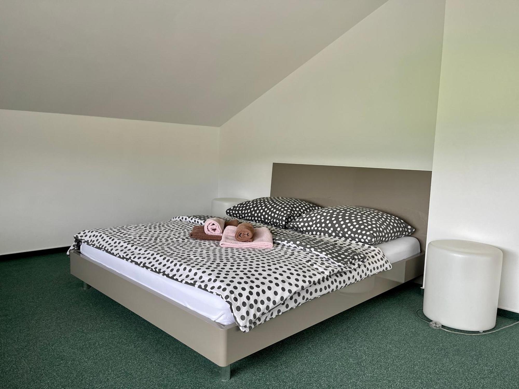 Modry Dom Apartment Spisske Bystre Room photo